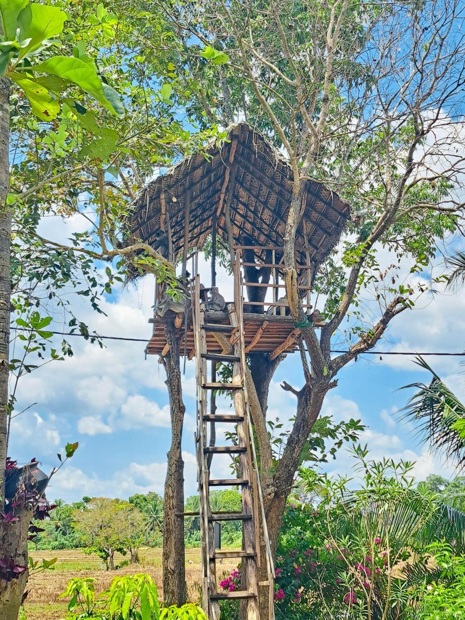 Lucky Villa Sigiriya Exterior foto