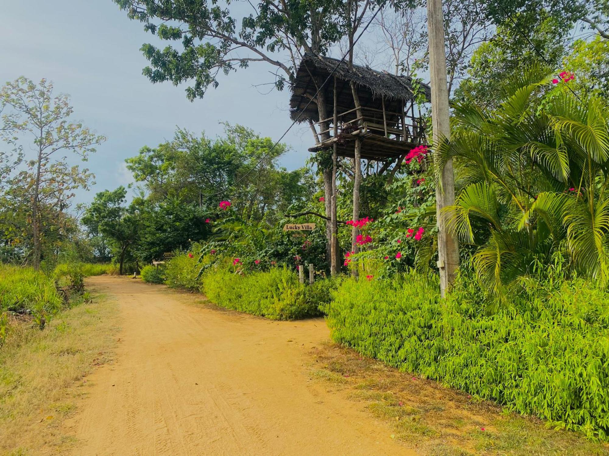 Lucky Villa Sigiriya Exterior foto